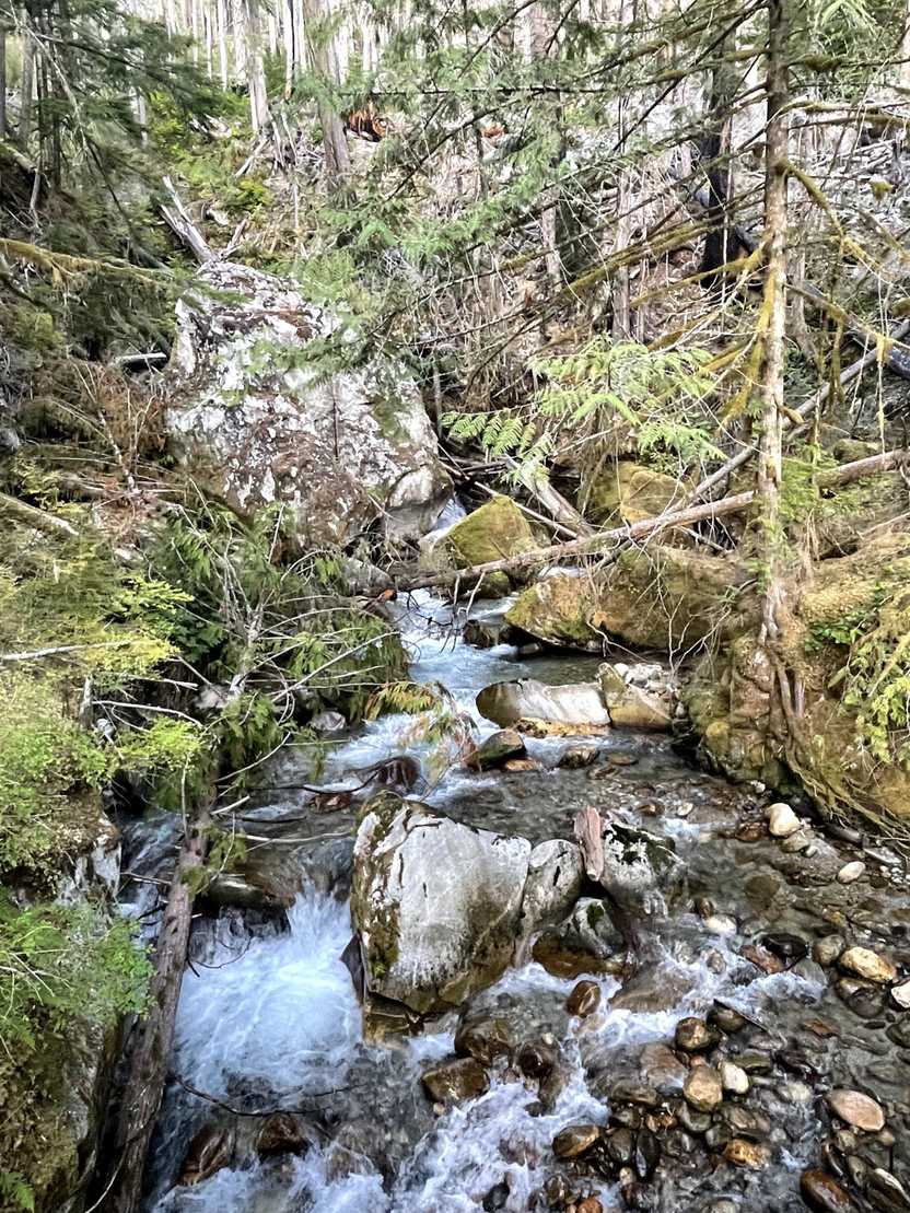 Water cascading down rocks at Ladder Creek Falls.