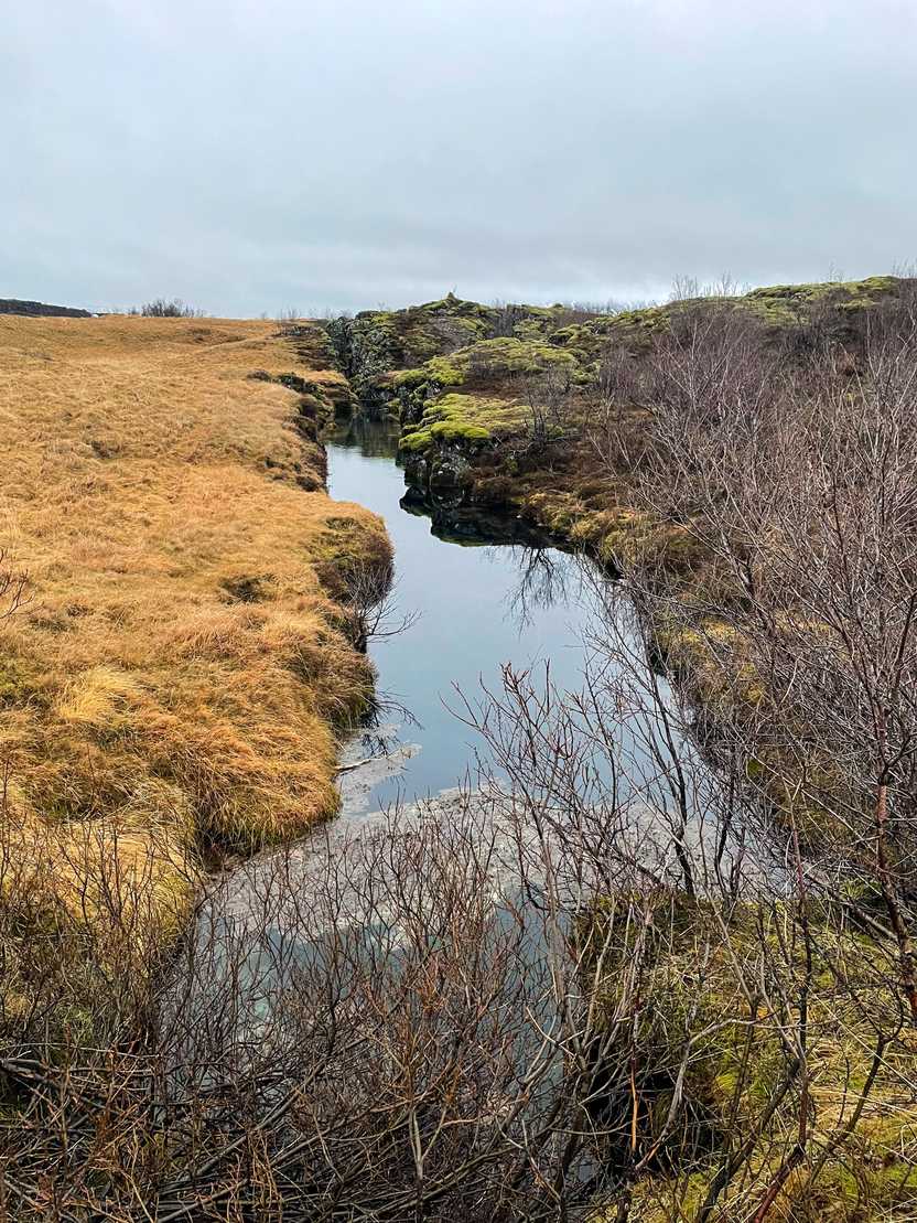 A stream of water surrounded by yellow.