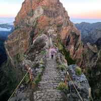 ✨Happy New Year! ✨