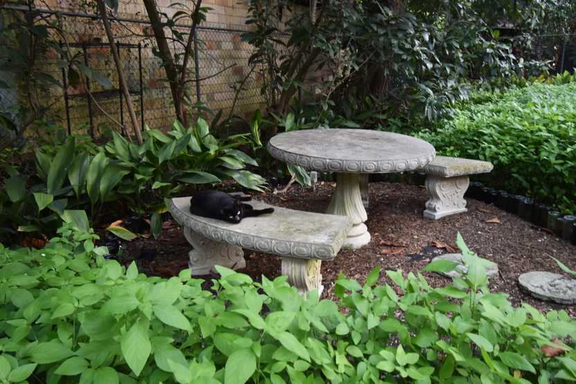 A stone picnic table with a black cat laying on the bench.
