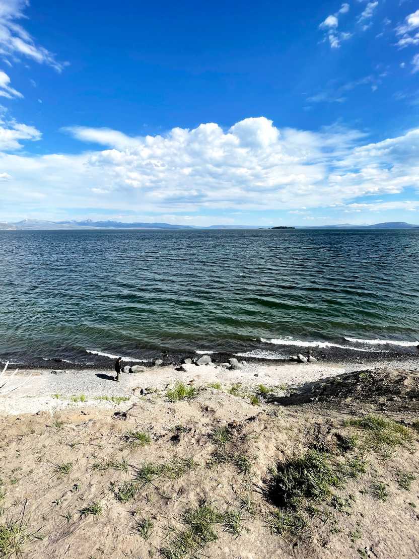 Looking out at Yellowstone Lake.