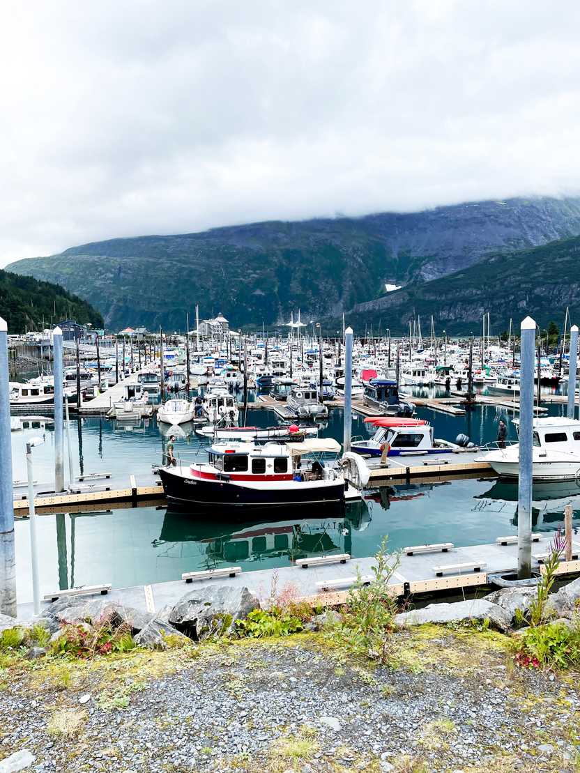 A harbor full of boats in Whittier, Alaska.