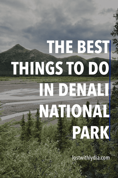 Learn about the best things to do in Denali National Park in the summertime! Read about the Denali bus tours, hiking trails, dog kennels and more.