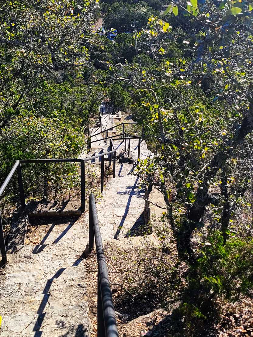 A stretch of stone steps with a black railing.