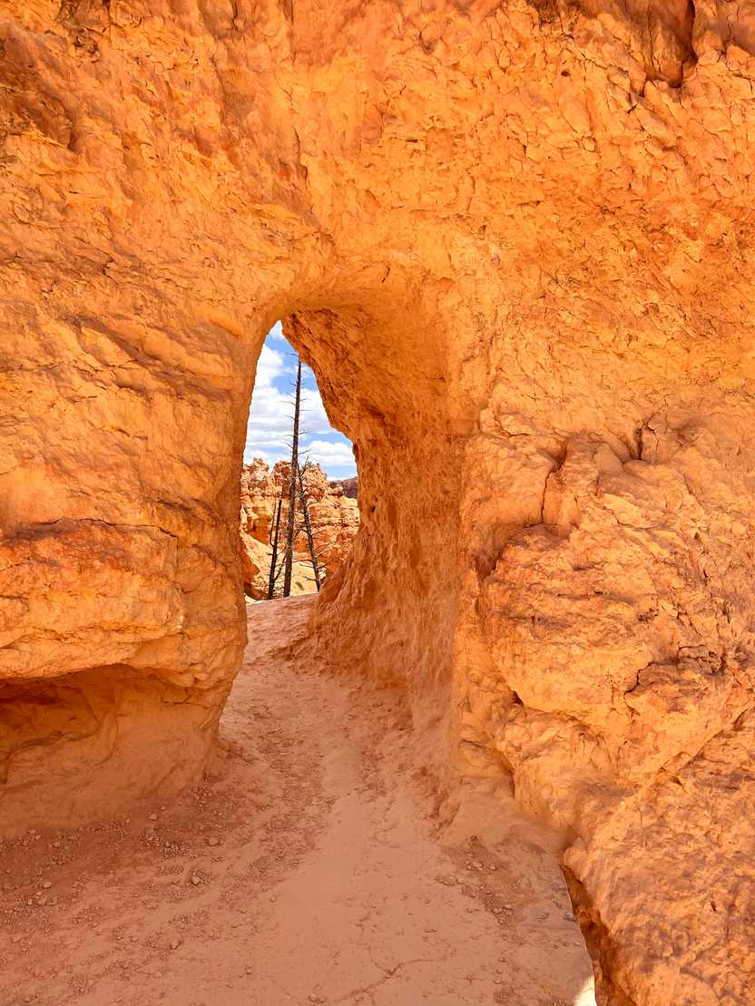 A tunnel through orange rock faces on a trail in Bryce Canyon.