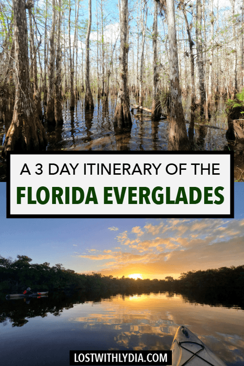 Use this Everglades itinerary to plan your perfect trip to Florida's largest national park! This guide has all of the details on how to spend 3 days in the Everglades and Big Cypress National Preserve.