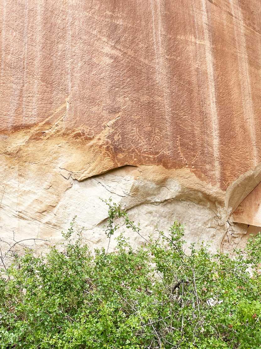 A rock wall with some faint petroglpyhs carved in it.