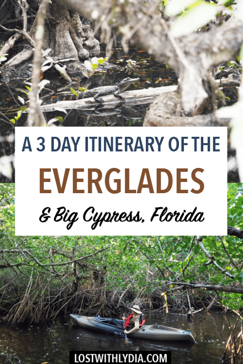Use this Everglades itinerary to plan your perfect trip to Florida's largest national park! This guide has all of the details on how to spend 3 days in the Everglades and Big Cypress National Preserve.