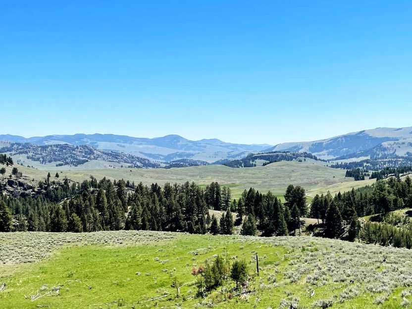 A valley of green rolling hills with trees and mountains in the distance.