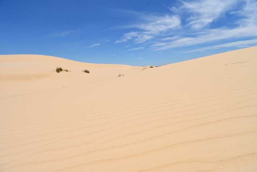 Looking at a large hill of sand in Monahans Sandhills State Park.