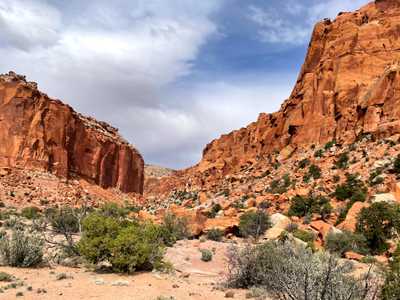 How To Spend One Day in Capitol Reef National Park