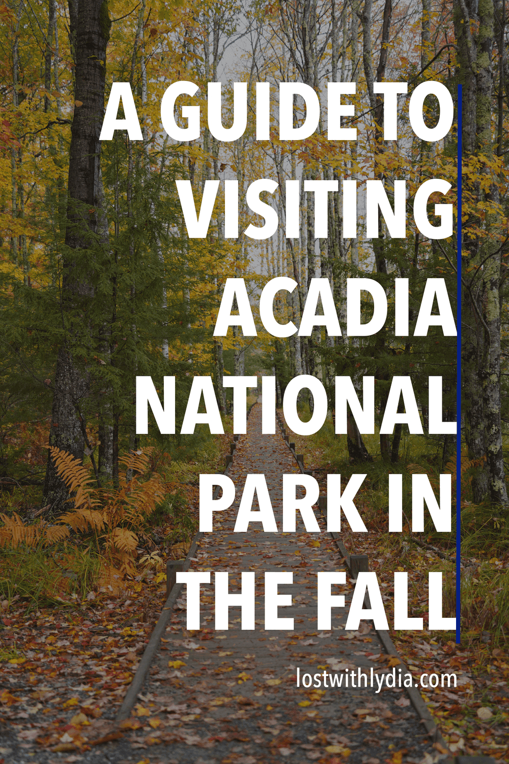 If you are thinking about visiting Acadia National Park in the fall, you’re in the right place! Acadia is one of the best places for hiking…