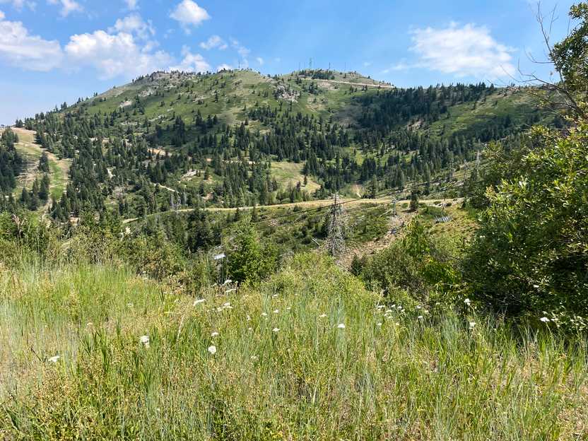A green hill with some trails cutting across it at Bogus Basin.