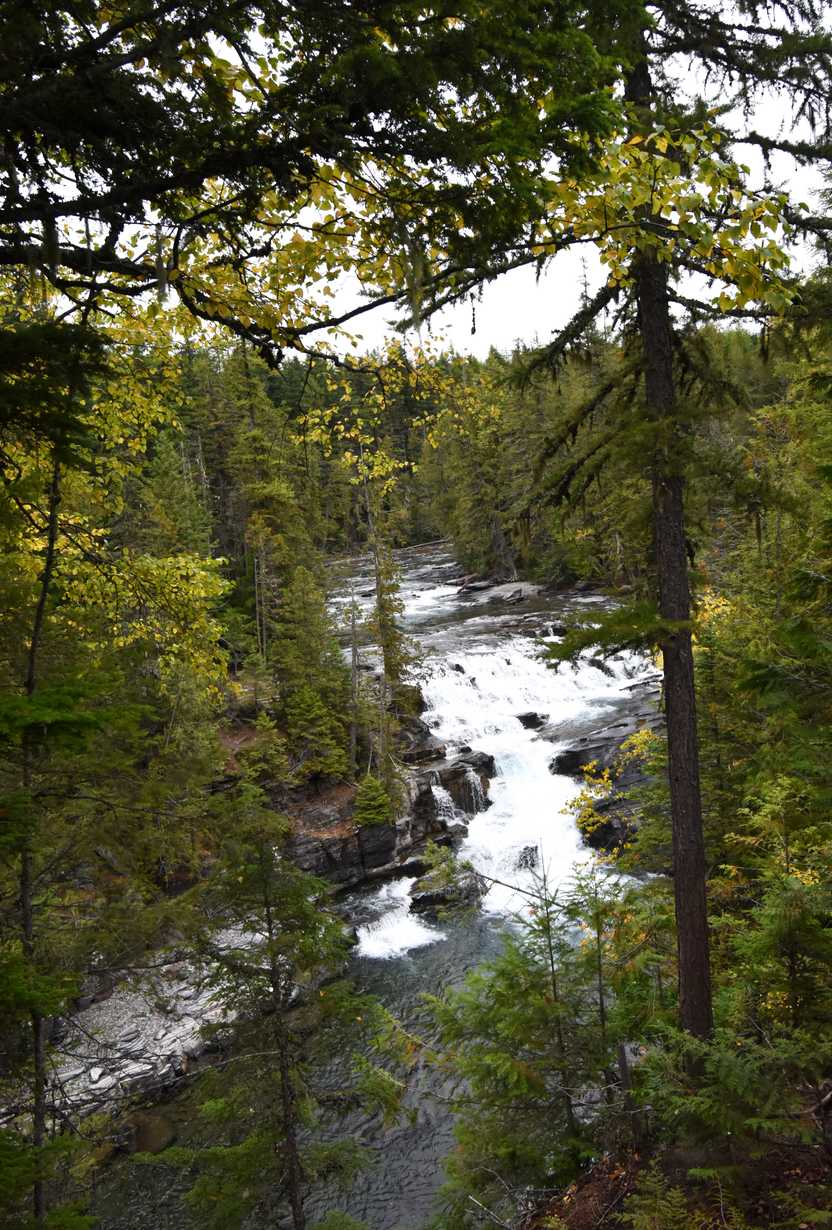 A small waterfall in the river. It is a view from above and surrounded by trees.