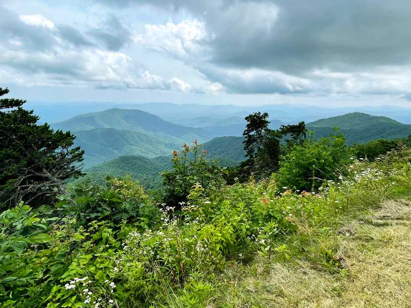 A viewpoint with many mountains in the distance and wildflowers among greenery nearby.