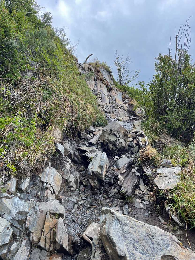 A rocky trail with several rocks to climb up.