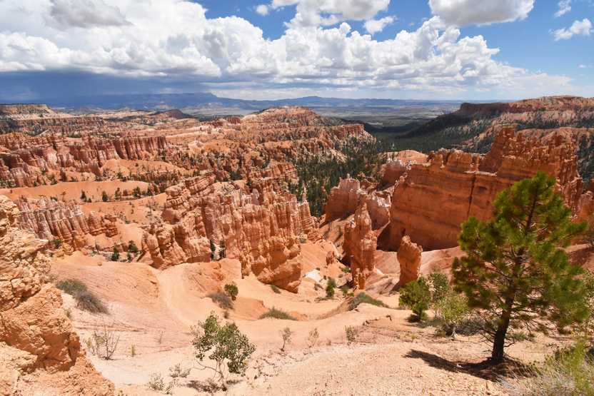 A view of many hoodoos from Sunset Point.