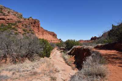 A Guide to Caprock Canyons State Park, TX: Hiking, Camping & Tips