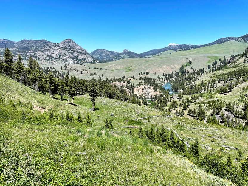A view of green rolling hills on the Hellroaring Suspension Bridge trail.