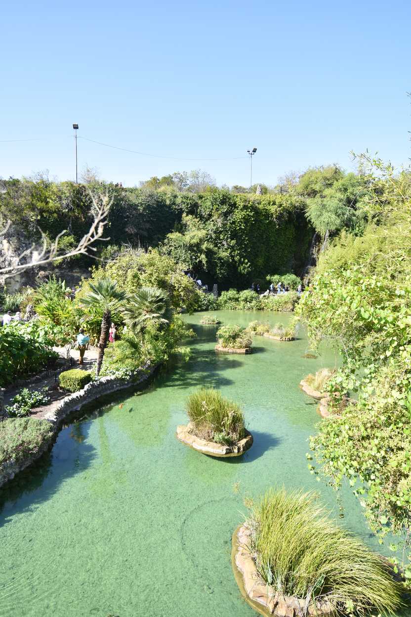 A pool of green water with floating bits of green grass in it.