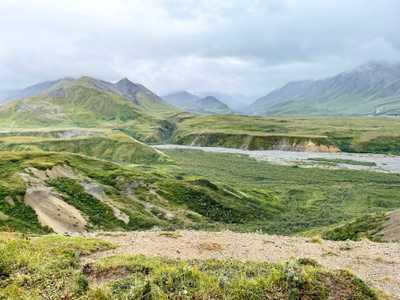 A Guide to Visiting Denali National Park: The Best Things To Do in the Summer