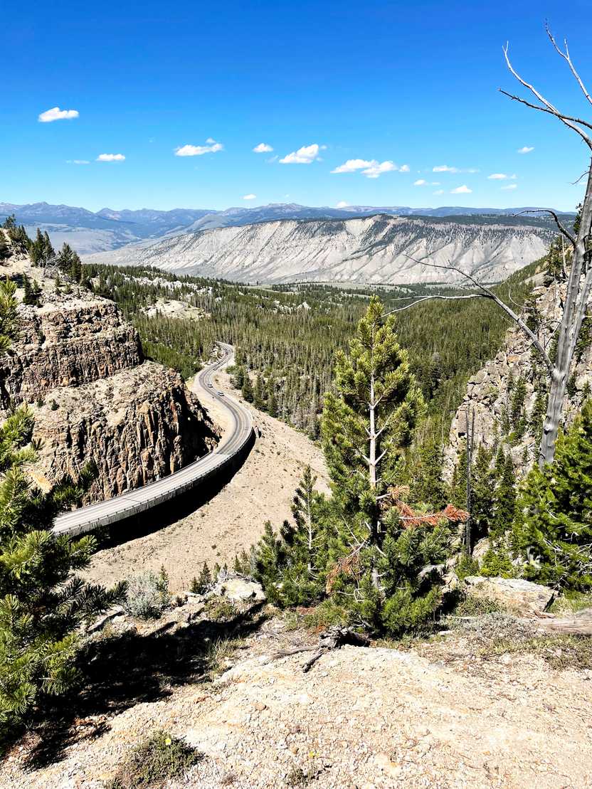 A road in Yellowstone in the Golden Gate Canyon area.