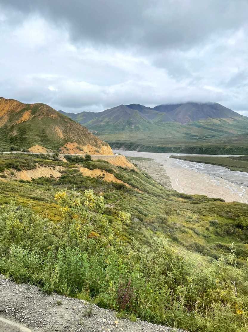 A view of mountains, greenery and the road through Denali National Park