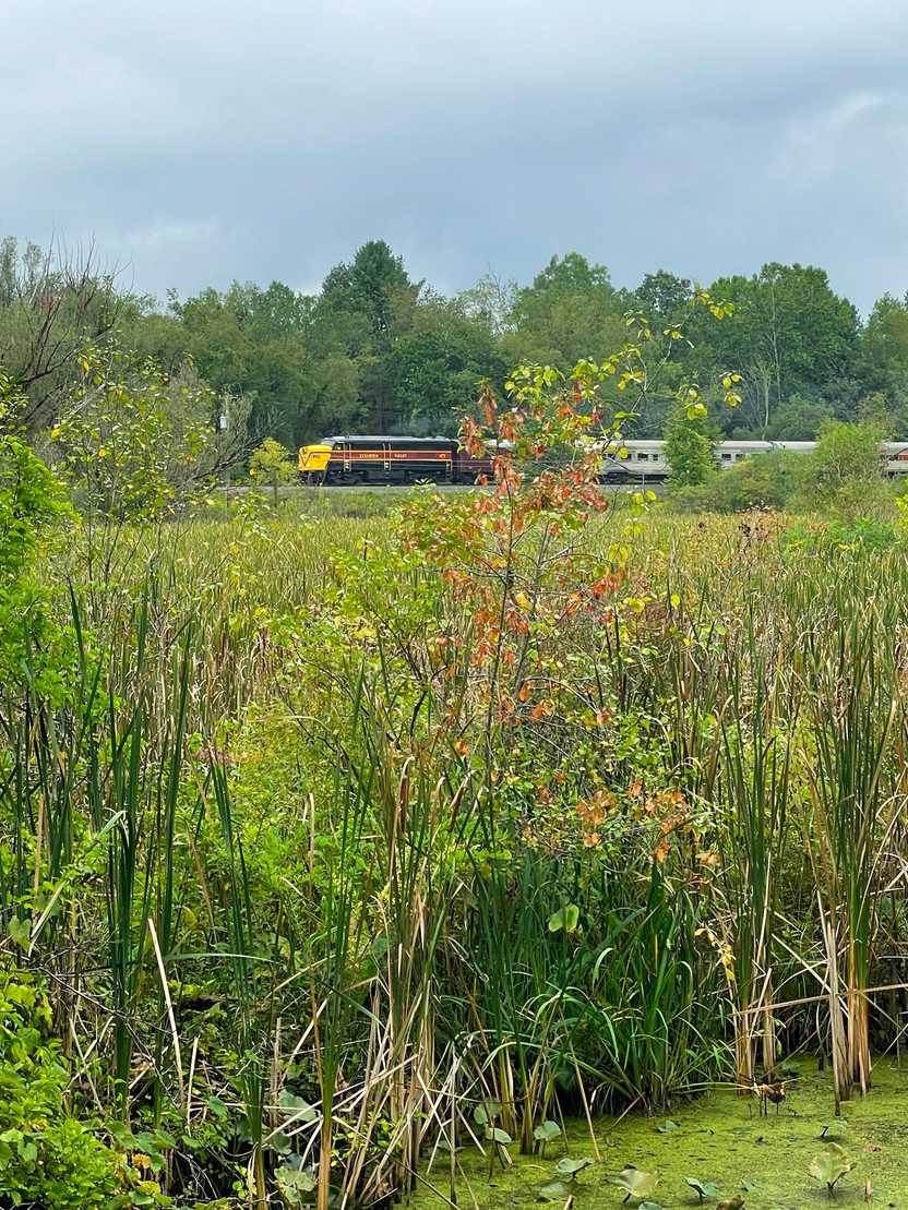 The Cuyahoga Valley Train in the distance.