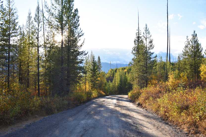 An unpaved road surrounded by green, yellow and red trees.
