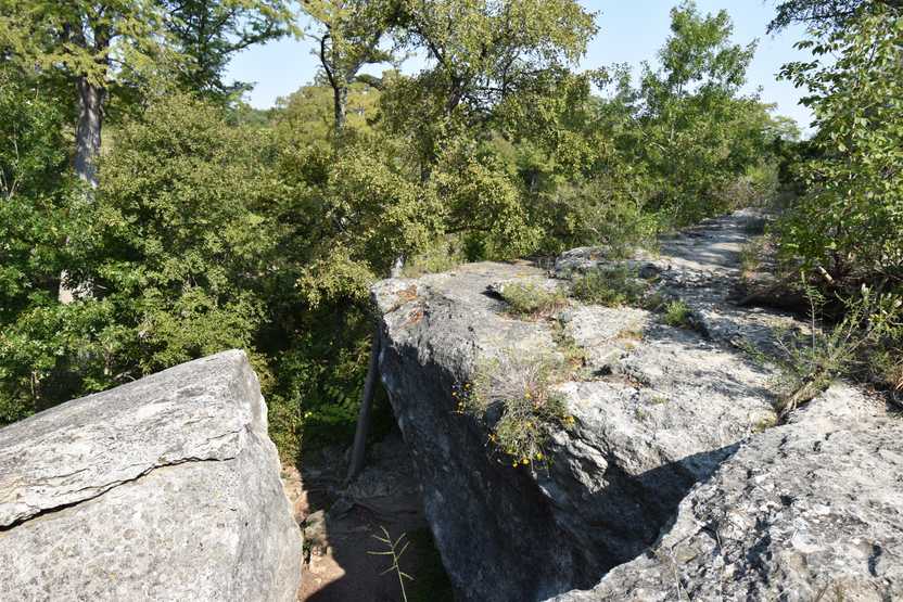 Some large gray boulders next to trees