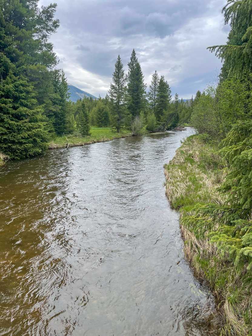 A stream in the Coyote Valley area along Trail Ridge Road.