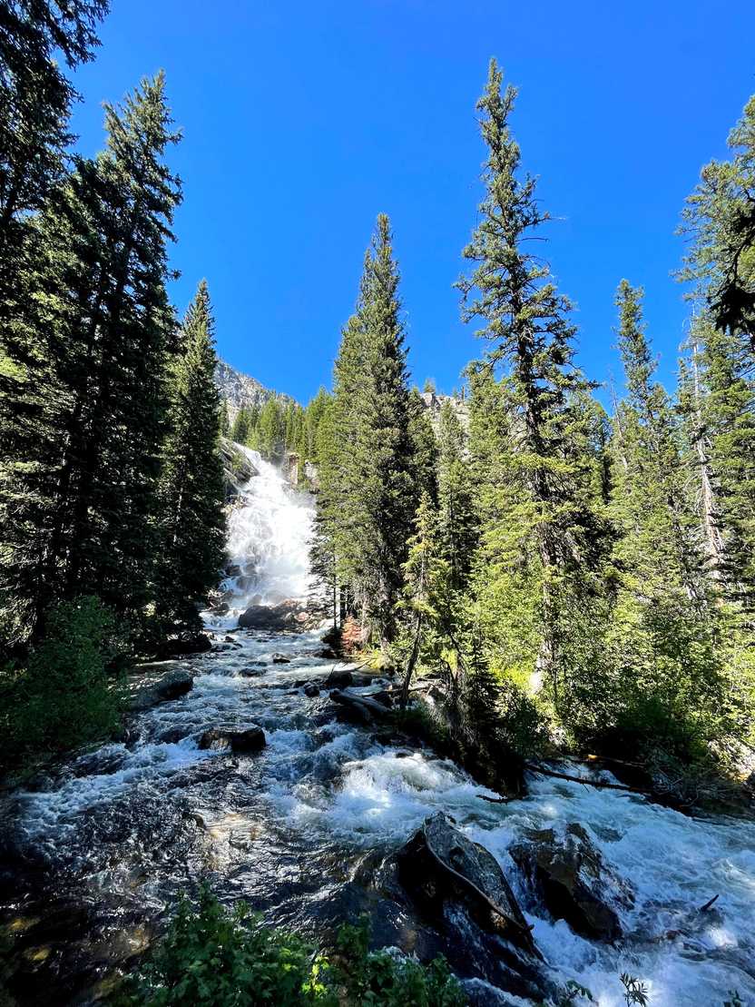 A view of Hidden Falls. The waterfall is in the distance surrounded by tall trees and it flows into a river with rocks.