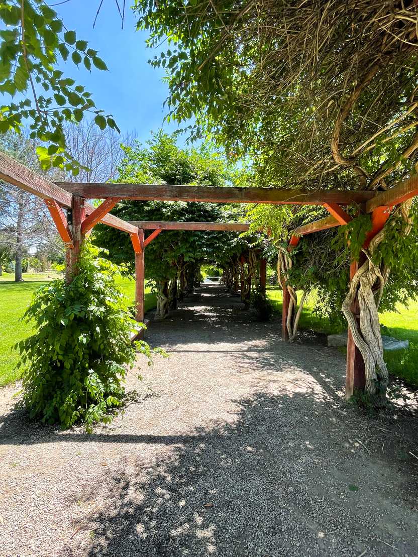 A red framed pathway with vines growing up the poles.