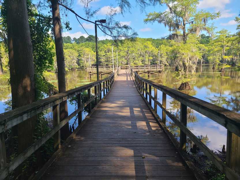 Looking out at the dock on Mill Pond. A wide wooden platform extends out over the water. Looking out at the dock on Mill Pond. A wide wooden platform extends out over the water.