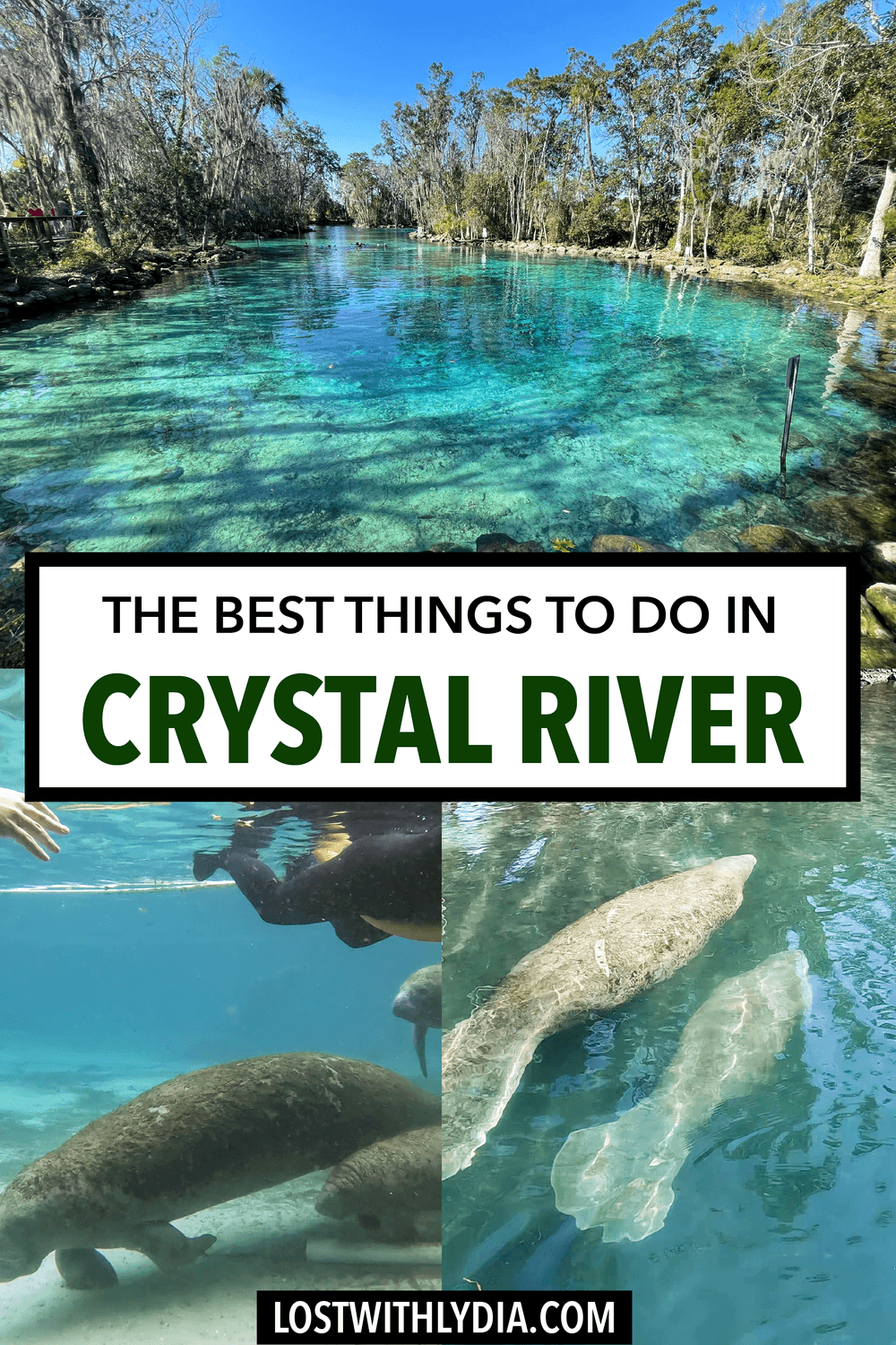 Have you ever wanted to swim with manatees? This guide shares everthing you need to know about visiting Crystal River, Florida.