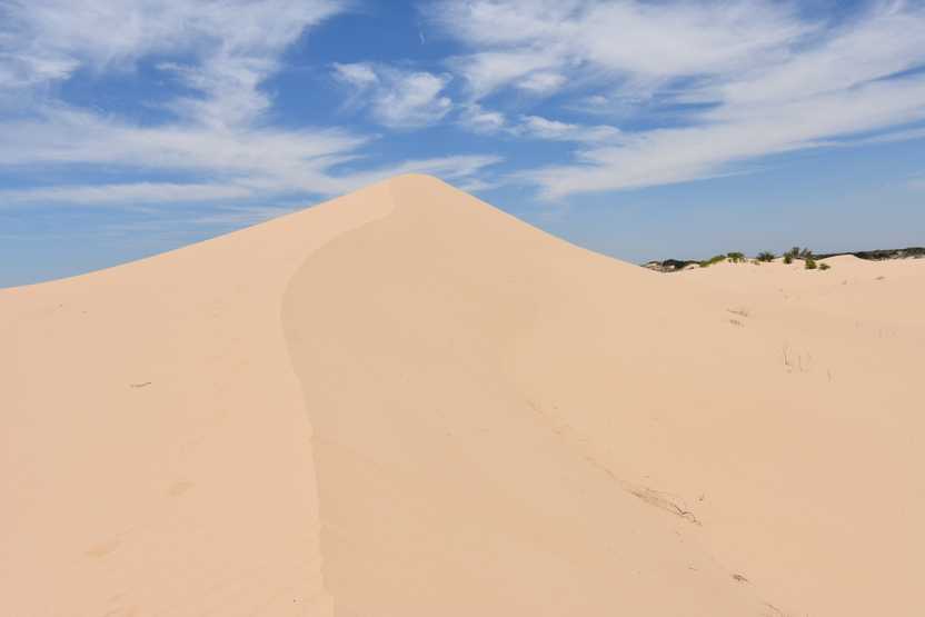 A large hill of sand at Monahans Sandhills State Park.