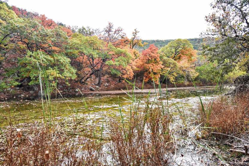 A river surrounded by colorful trees along a trail in Lost Maples.