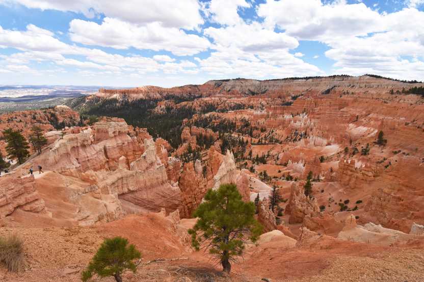 An expansive view of orange hoodoos from Sunrise Point.