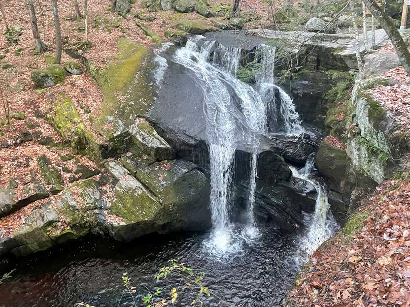 A waterfall cascading down rocks along a small stream in the forest.