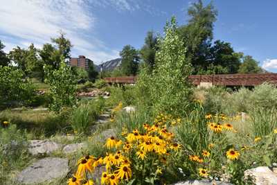 The Best Things To Do in Boulder, Colorado in the Summer