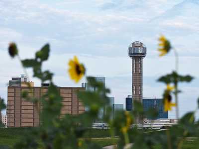 The Perfect Weekend Trip to Dallas, Texas: 2-3 Day Itinerary