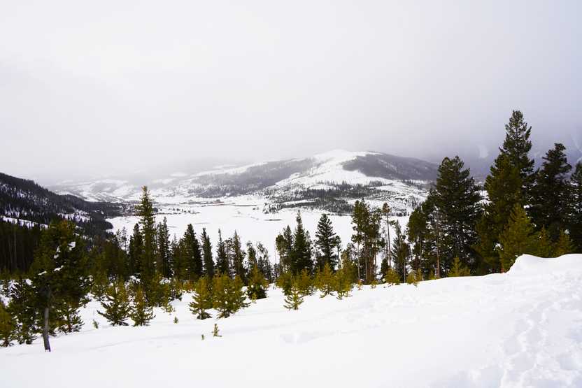 A view of a mountain covered in snow, which some green trees in the foreground.