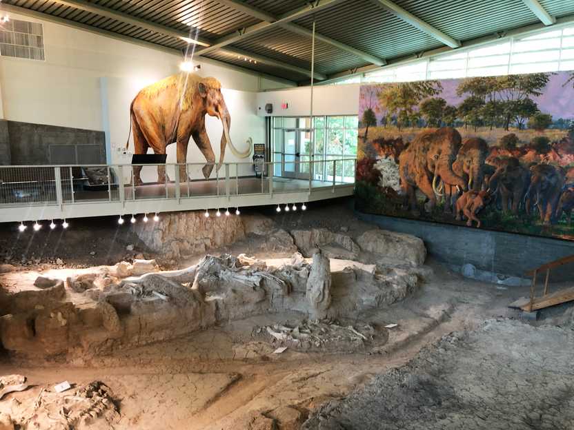 Mammoth Bones and signs at the Mammoth National Monument in Waco.