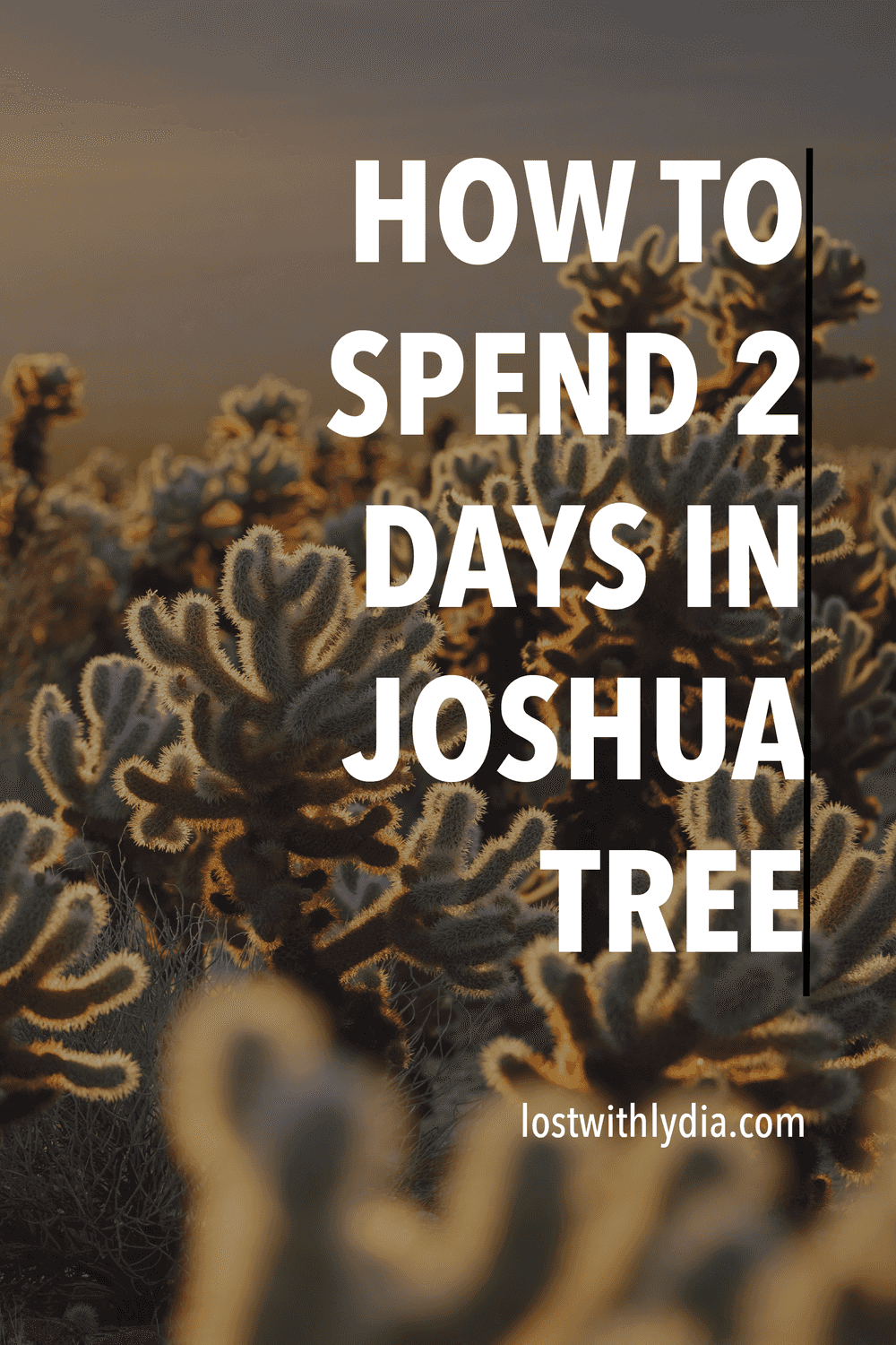 Learn how to spend two days in Joshua Tree National Park with this travel guide! Discover the best hikes in Joshua Tree and all of the information you need to spend a weekend in Joshua Tree.