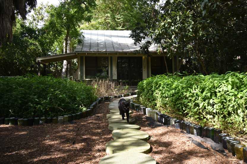 A small cottage tucked away behind some trees and bushes in front of it. A black cat walks towards the camera on a stone pathway leading to the home.
