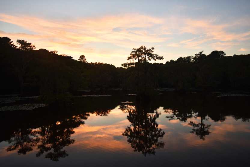 A colorful sunset reflects onto the water at Caddo Lake. A silhouette of trees is in the shadows. A colorful sunset reflects onto the water at Caddo Lake. A silhouette of trees is in the shadows.