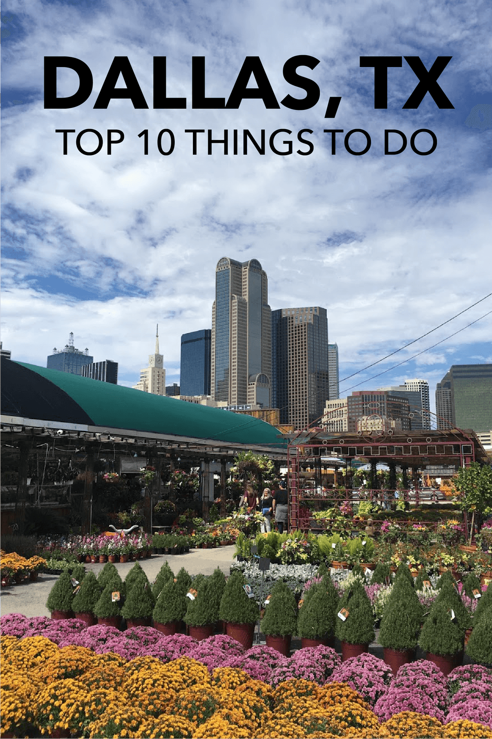 Read about the top things to do in Dallas, Texas from the perspective of a local! The list includes unique neighborhoods to explore in Dallas, some great restaurants in Dallas and more.