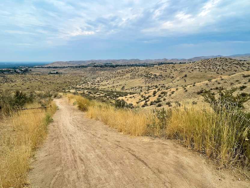 A hiking trail surrounding by rolling, yellow hills