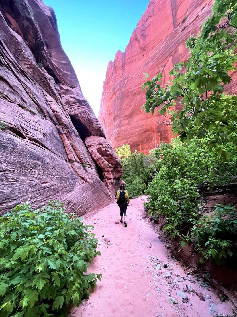 Lydia hiking on pink sand next to an orange cliff in the Kolob Canyons area of Zion National Park. Lydia hiking on pink sand next to an orange cliff in the Kolob Canyons area of Zion National Park.