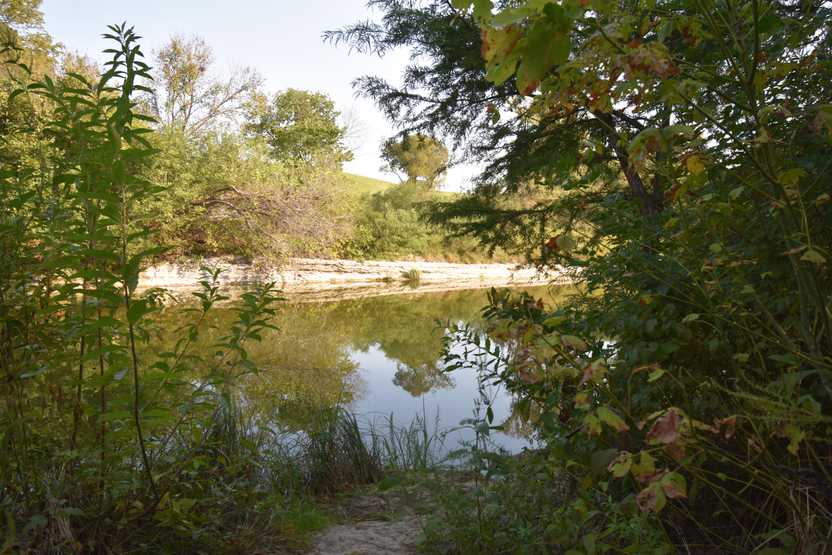 A path leading to a river with rocks on the shoreline